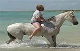 Rosarito Beach, Mexico Tour